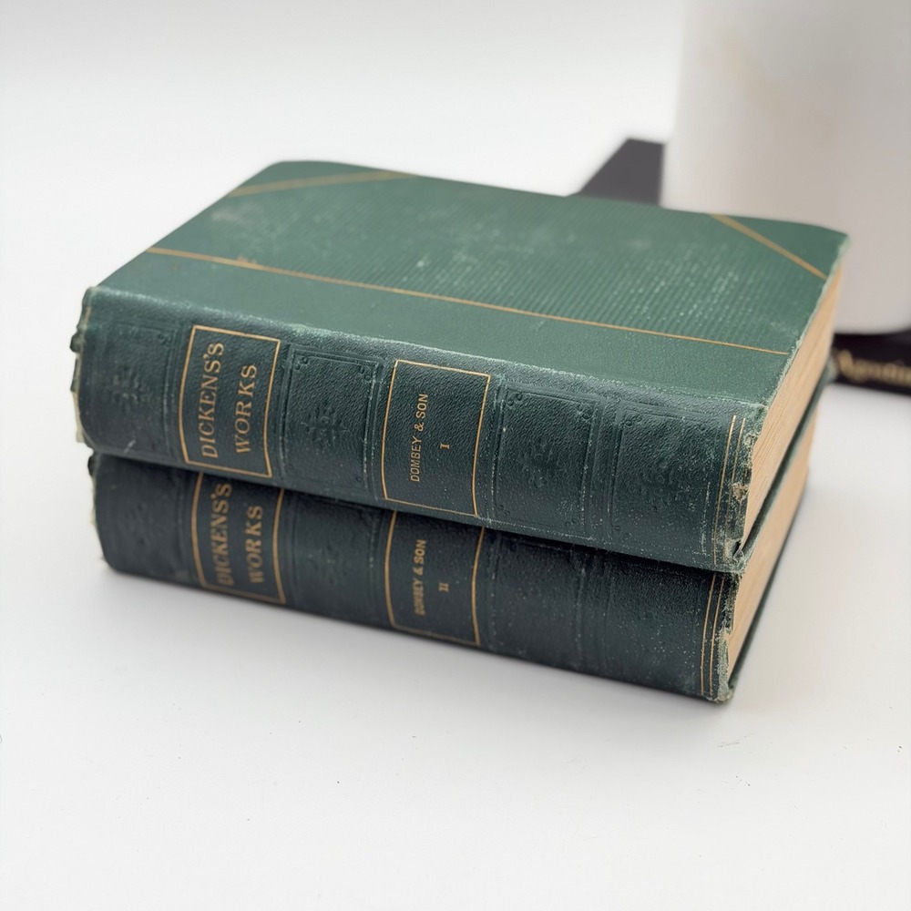 Antique Charles Dickens Dombey and Son 1877 Hurd and Houghton 2 Volume Set